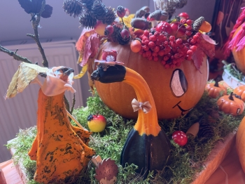 IMG_7893.jpeg