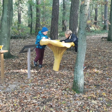 Warsztaty z edukacji leśnej w Kliniskach Wielkich