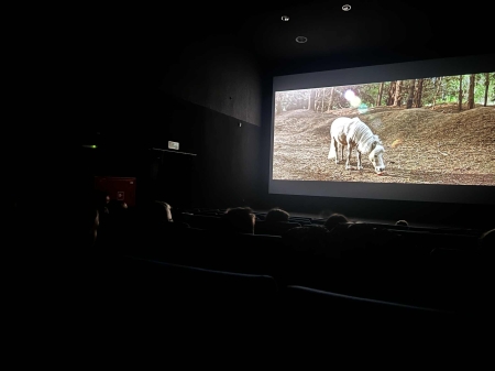 Uczniowie klas 4 i 6 w kinie – projekt „Młode Horyzonty”