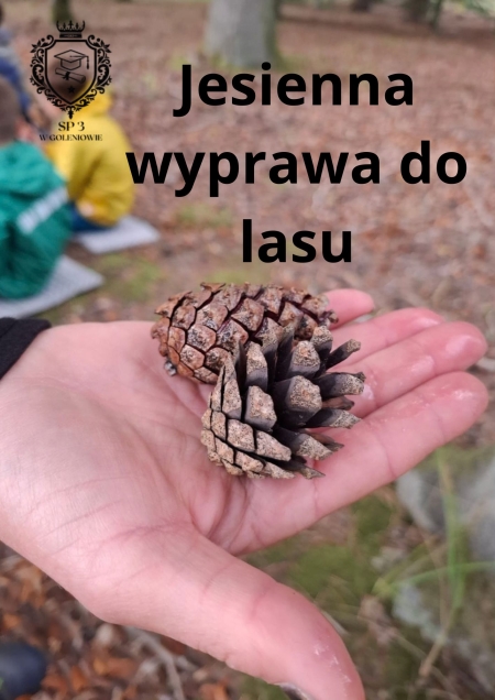 Jesienna wyprawa do lasu klasy IIb