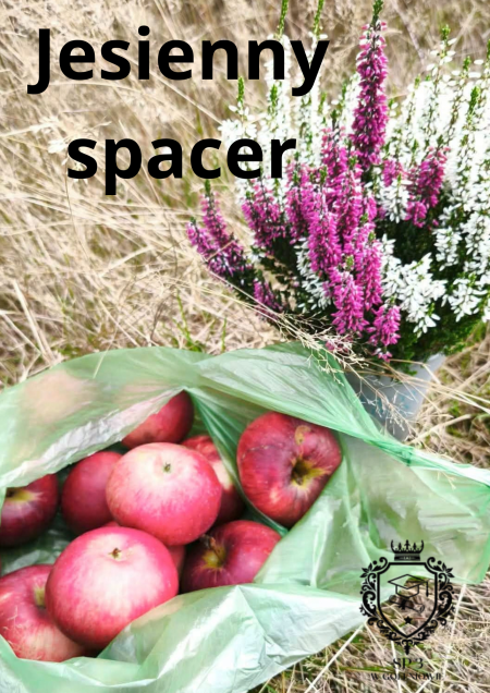 Jesienny spacer klasy Ia